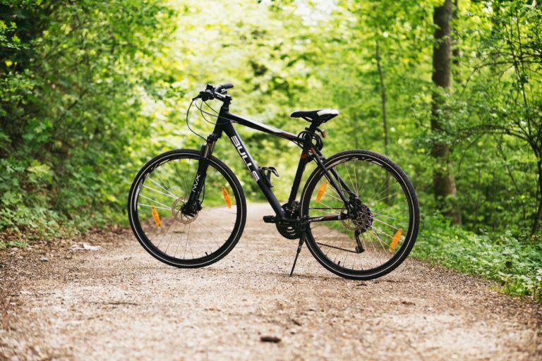 Mountain Biking for Beginners