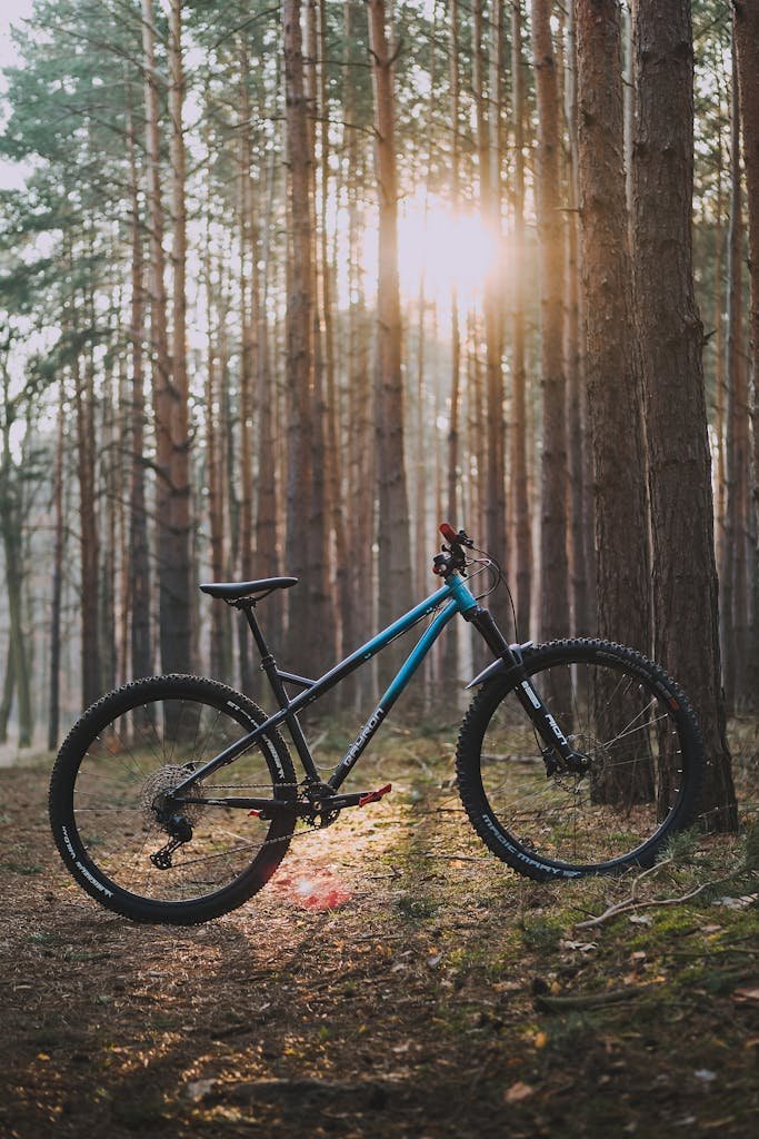 Hardtail Mountain Bike in the Forest