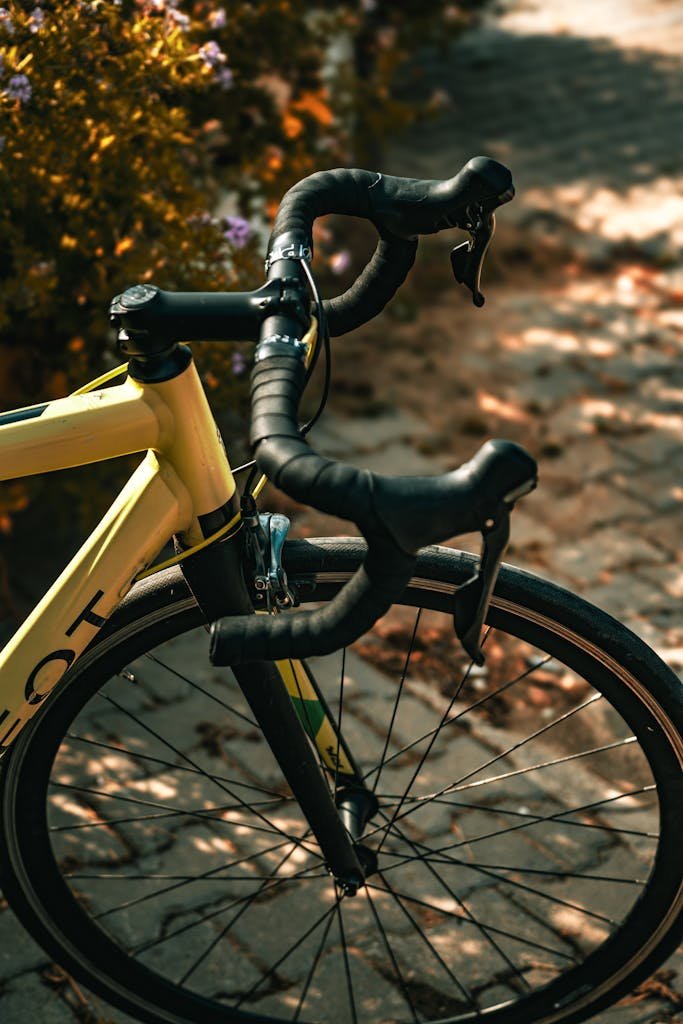 Photo by Şahin Doğdu Close-up of a bicycle handlebar and tire on an autumn path in Yalova, Türkiye.