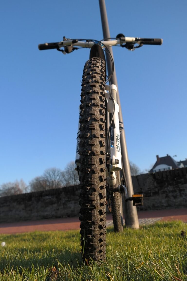 bicycle tires, tire, stollen, bicycle, mountain bike, tire profile, close up, macro, profile, schwalbe nobby nic, racing ralph, tyres