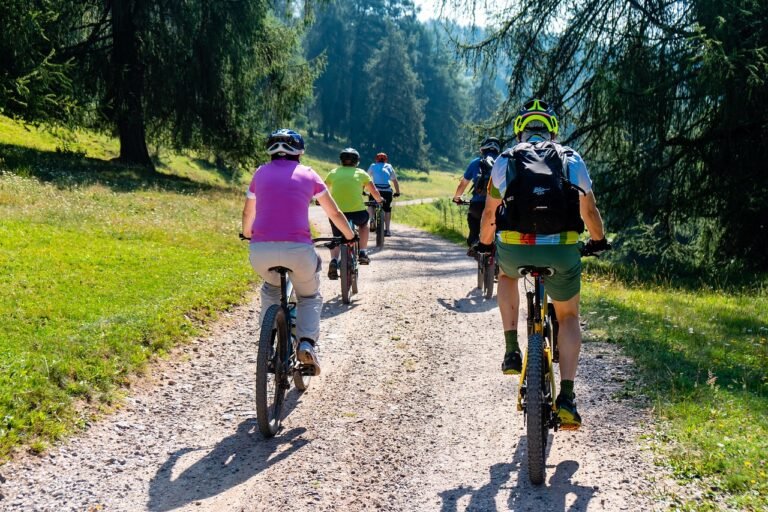 mountain bike, e bike, bicycle, to go biking, summer, emtb, dolomites, landscape, mtb, group, athletic, cyclist, e bike, e bike, e bike, e bike, e bike