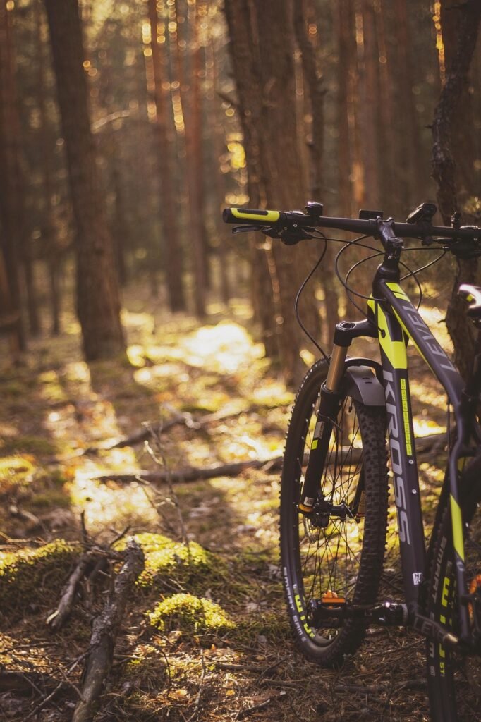 Mudguards