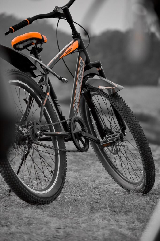 bicycle, pedal cycle, bike, cycle, transportation, bicycle, bike, bike, bike, cycle, cycle, cycle, cycle, cycle